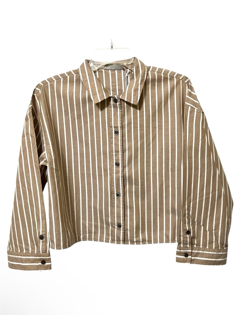 NWT Everlane Boxy Striped Button Front Shirt